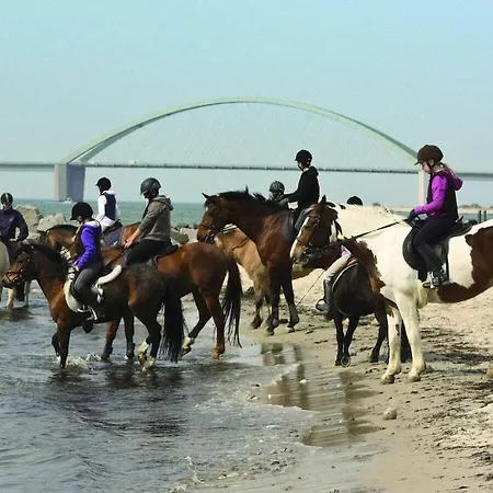 House F994 Comfortable *